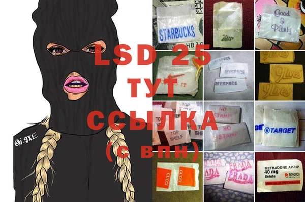гидра Абаза