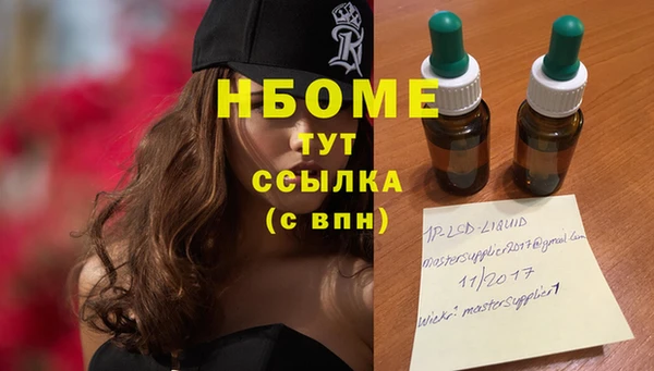 прущий лед Семёнов