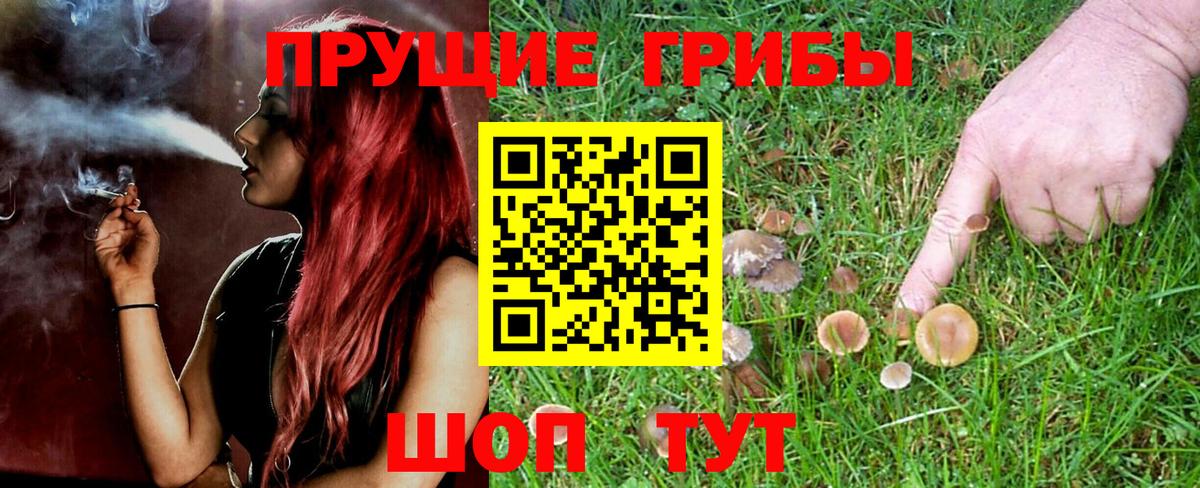 Галлюциногенные грибы мухоморы Алапаевск